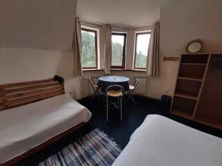 Гостевой дом LerMont Guest House Lermontovo Трехместный номер «Комфорт» с душем-2