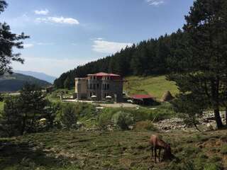 Гостевой дом LerMont Guest House Lermontovo-6